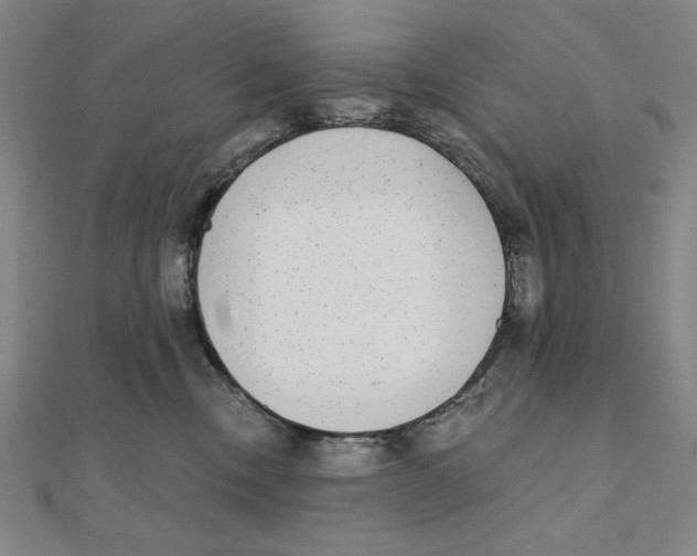 X0000111480378200908111207