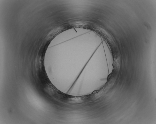 X0000111480381200908111207