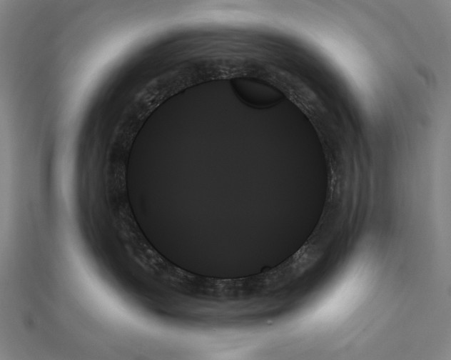 X0000111480383200908111207