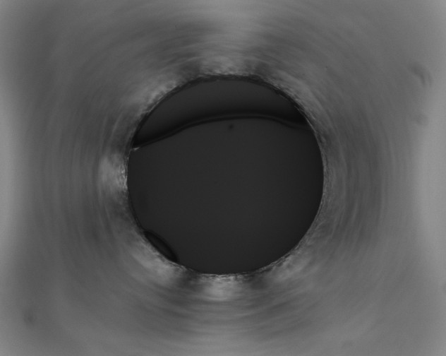 X0000111480384200908111207