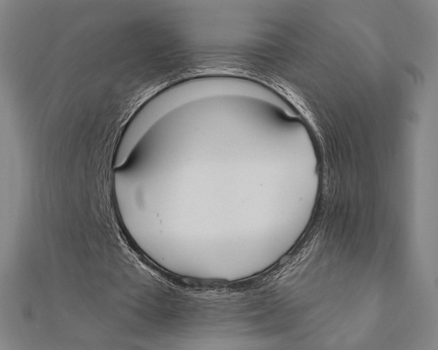 X0000111480385200908111206