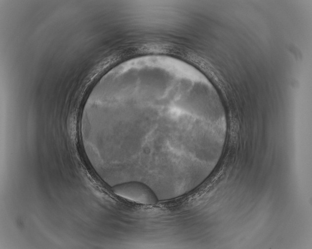 X0000111480386200908111206