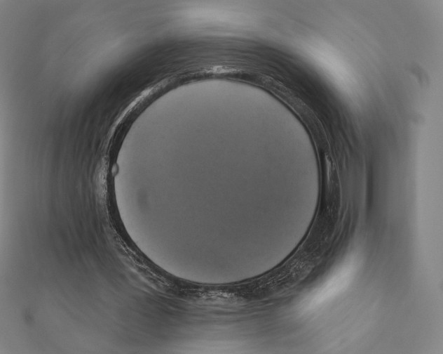 X0000111480387200908111206