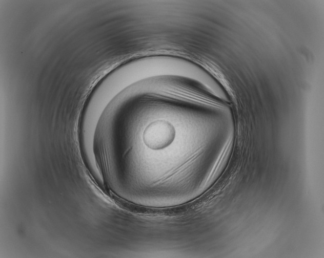X0000111480389200908111206