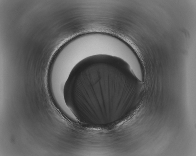 X0000111480391200908111206