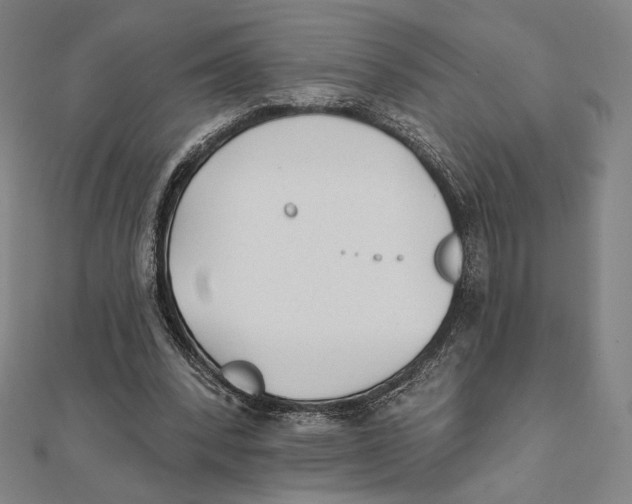 X0000111480392200908111206