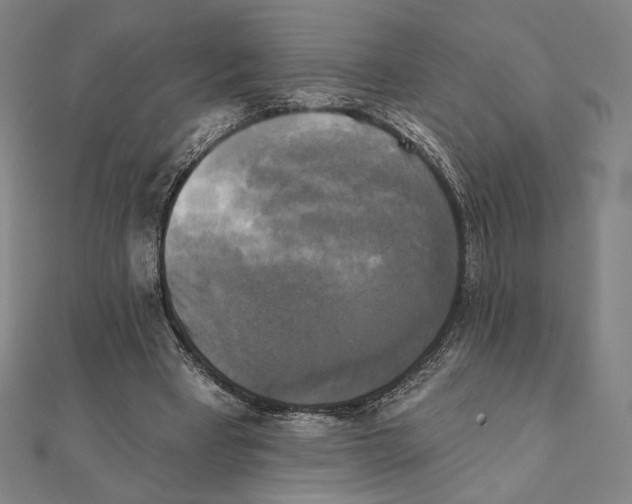 X0000111480393200908111206