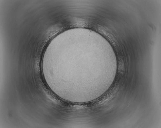 X0000111480394200908111206