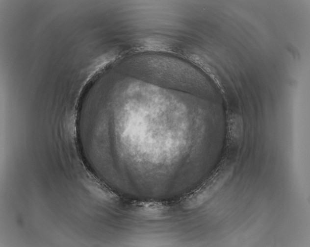 X0000111480395200908111206