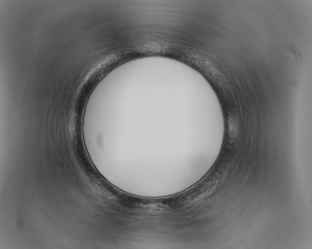 X0000111480396200908111206