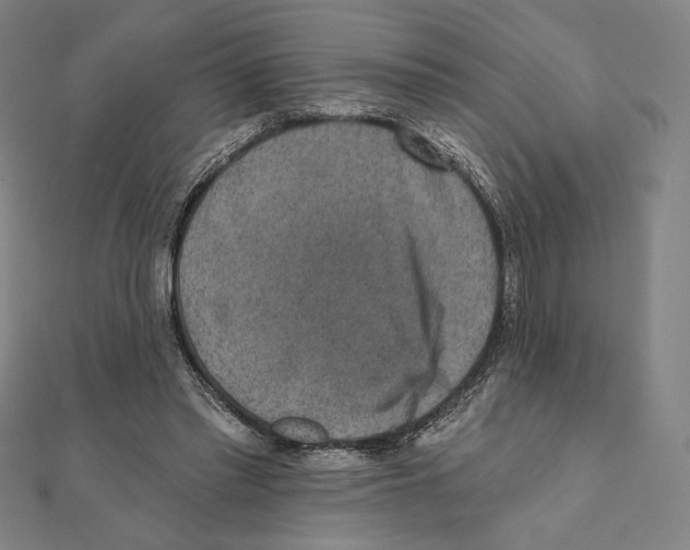 X0000111480397200908111206