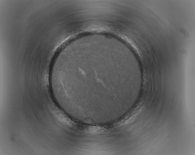 X0000111480399200908111206