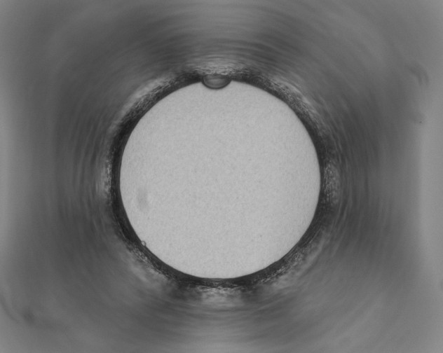 X0000111480400200908111206