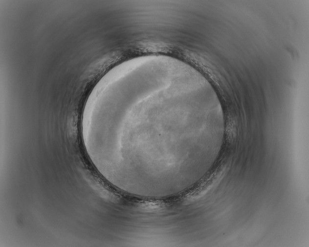 X0000111480402200908111206