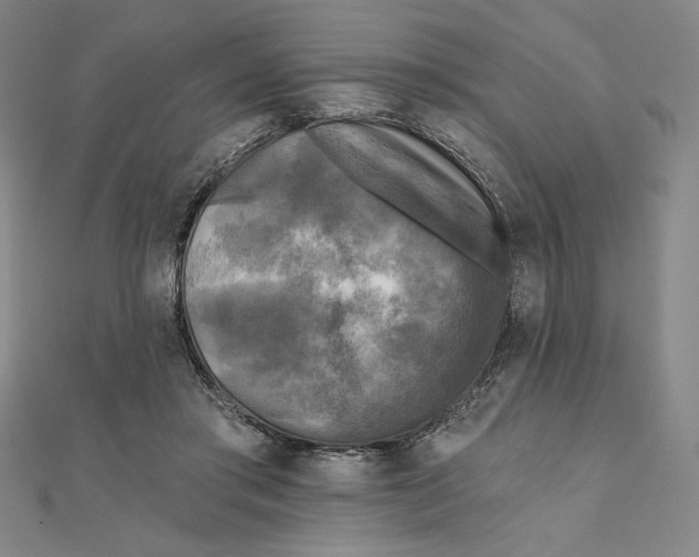 X0000111480405200908111206