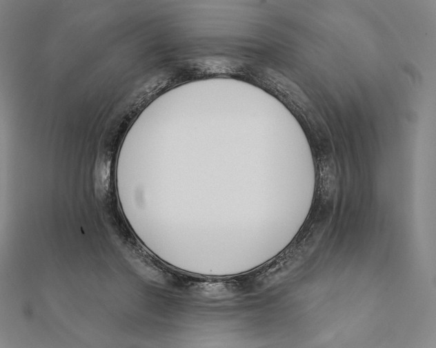 X0000111480406200908111206