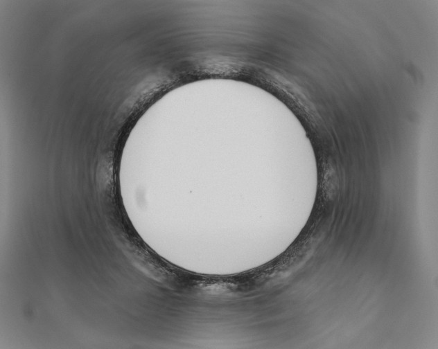 X0000111480407200908111206