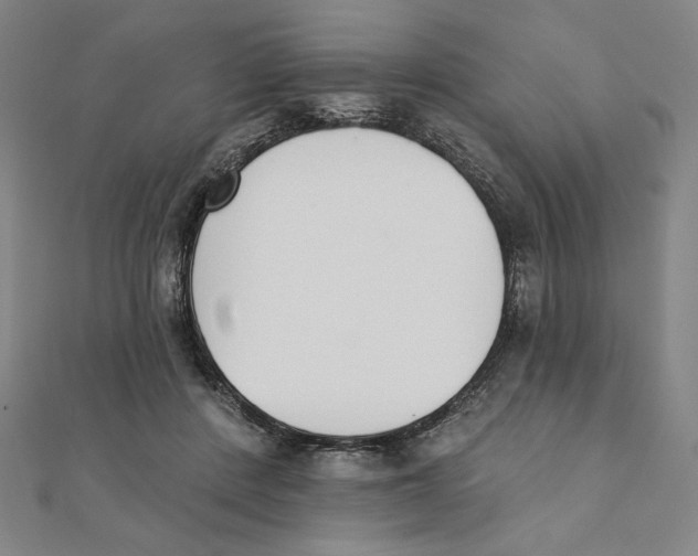 X0000111480408200908111206