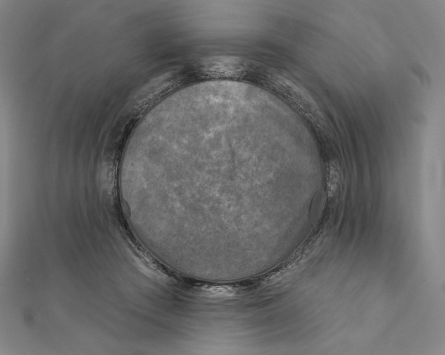 X0000111480409200908111206
