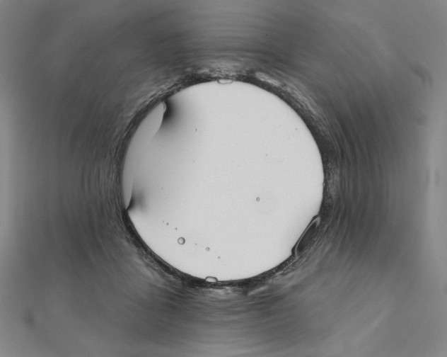 X0000111480411200908111206
