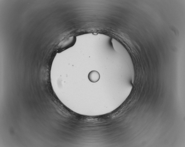 X0000111480413200908111206