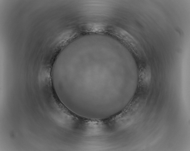 X0000111480415200908111206