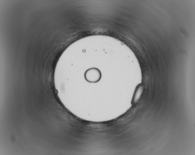 X0000111480417200908111206
