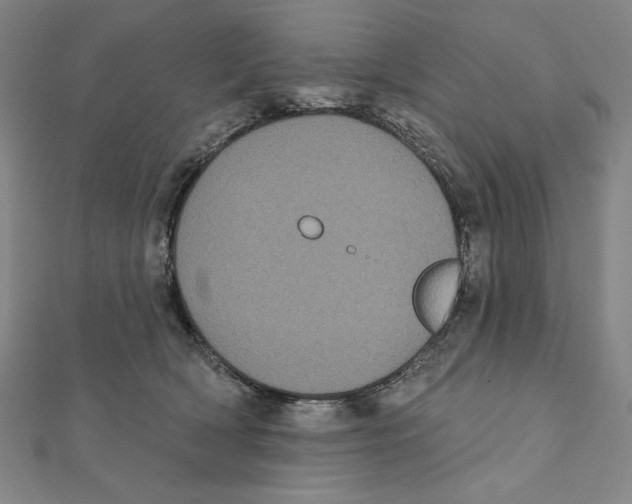 X0000111480418200908111206