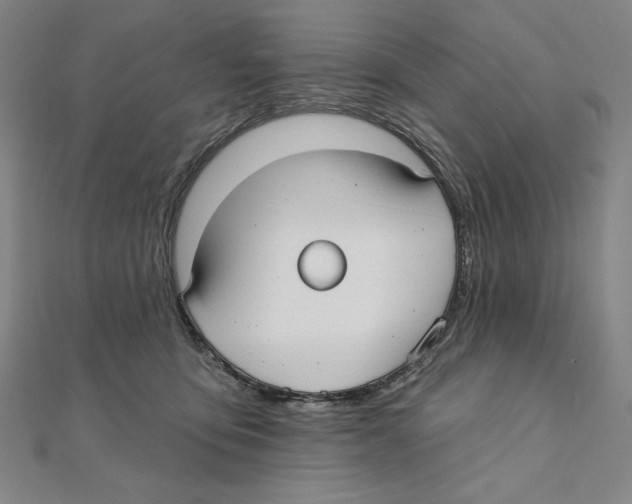 X0000111480419200908111206