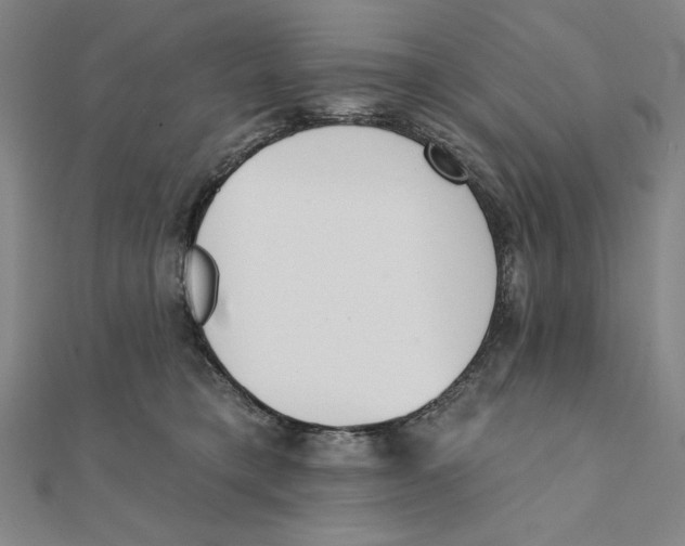 X0000111480421200908111206
