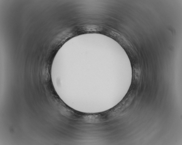 X0000111480422200908111206