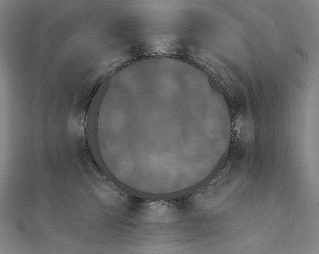 X0000111480423200908111206