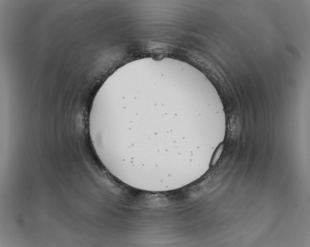 X0000111480424200908111206