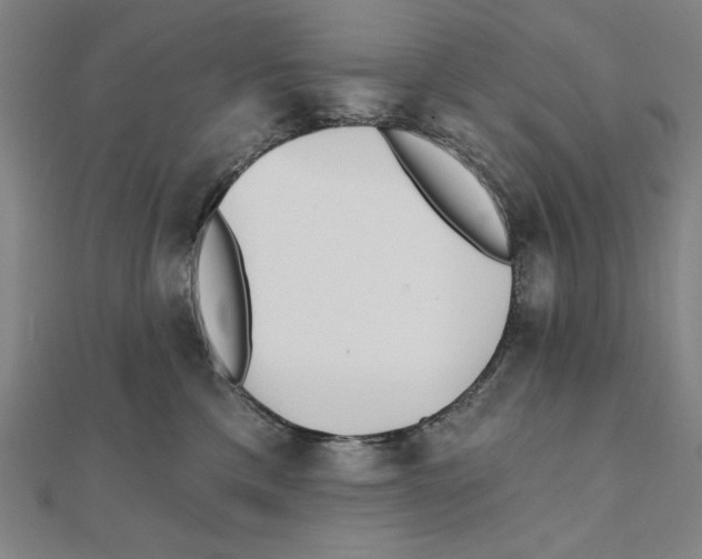 X0000111480425200908111206
