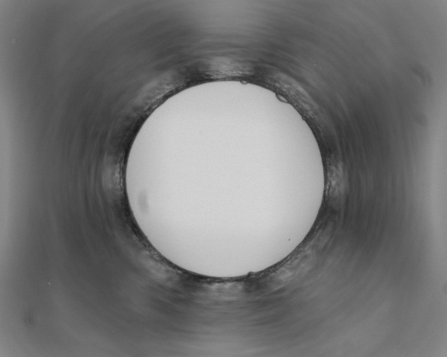 X0000111480426200908111206