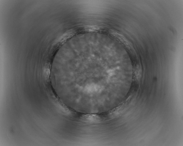 X0000111480427200908111206