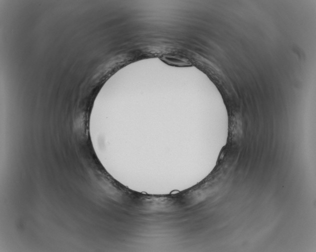 X0000111480428200908111206