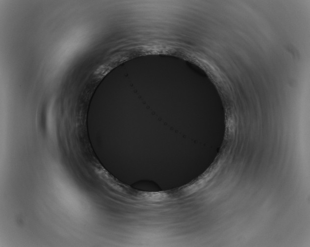 X0000111480429200908111206