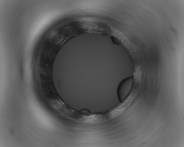 X0000111480430200908111206