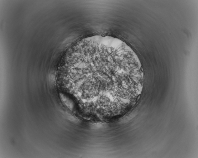 X0000111480432200908111206