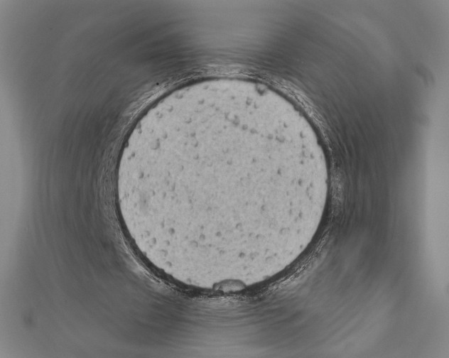 X0000111480433200908111205