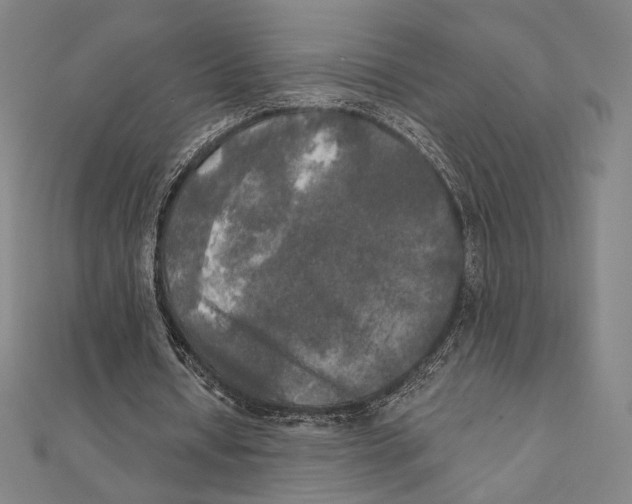X0000111480434200908111205