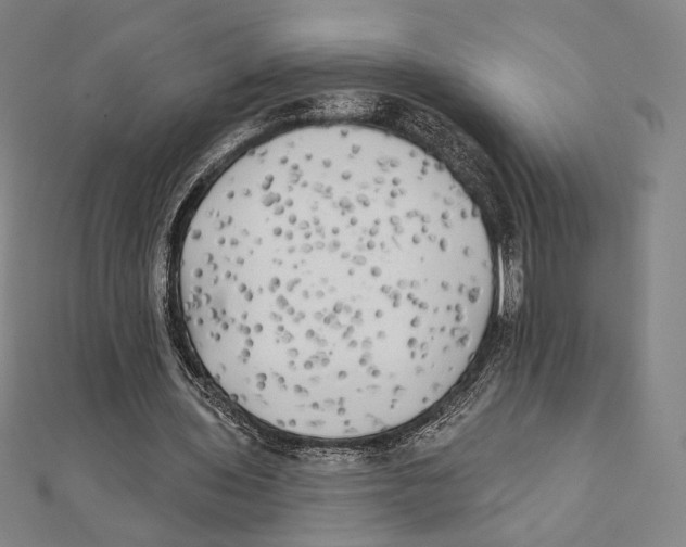 X0000111480435200908111205