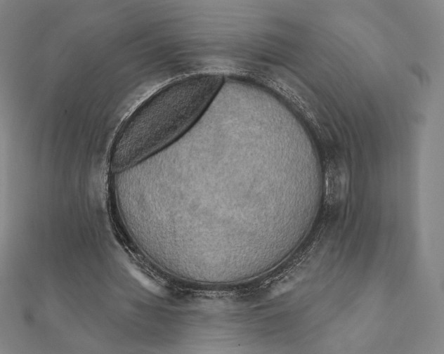 X0000111480436200908111205