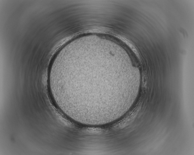 X0000111480437200908111205