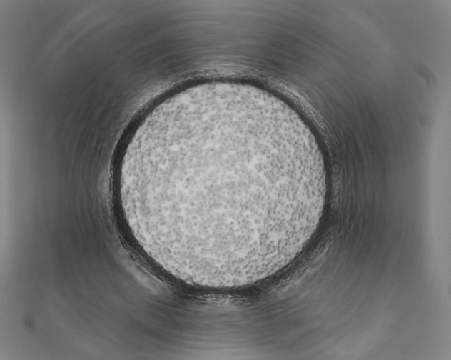 X0000111480439200908111205