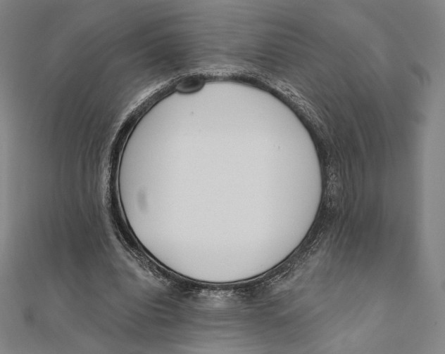 X0000111480440200908111205
