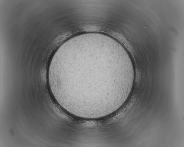 X0000111480441200908111205