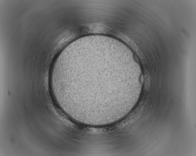 X0000111480442200908111205