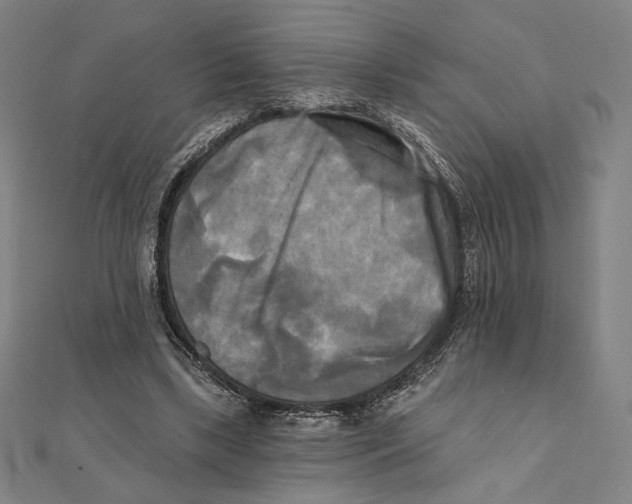 X0000111480443200908111205